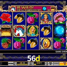 56d Rio de Janeiro - Bonus Terms